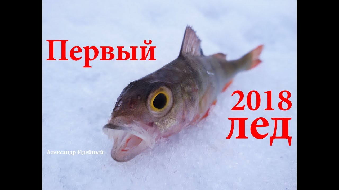 Зимняя рыбалка на озере в ноябре по первому льду в Киеве 2018