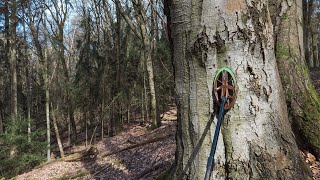 Awesome Spot! Metal Detecting &quot;Investigation&quot; in the Woods