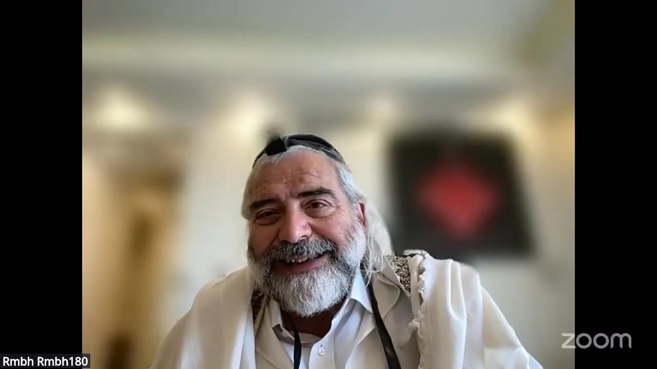 Daf HaYomi - Zevahim 17