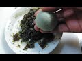 94SLS Feel Crackling Craving Famous Century Egg #trending #block #egg #satisfying #carving #century