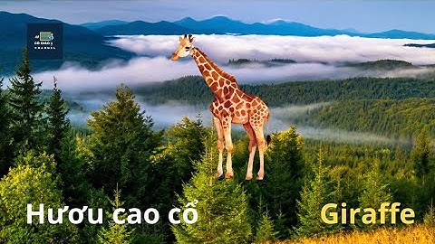 Dạy bé thông minh sớm|Bé học nhận biết con hươu cao cổ Giraffe|Bé học tiếng anh qua con vật