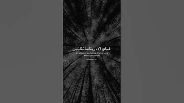 #ياسر_الدوسري #سورة_المؤمنون #قرآن