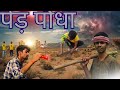 पेड़ पौधा....#trending #plants #viral #video #ytshorts #youtubeshorts 