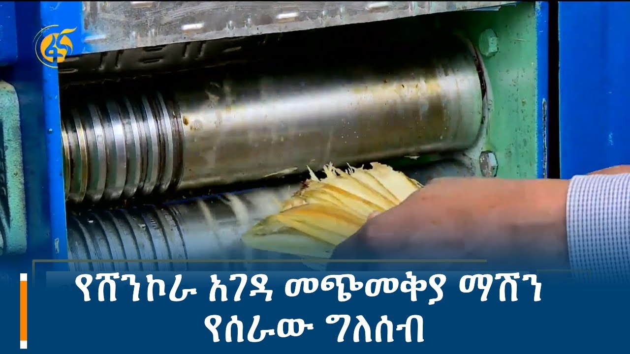 የሸንኮራ አገዳ መጭመቅያ ማሽን የሰራው ግለሰብ