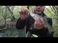 Рыбалка на спиннинг в лесной речке. Хаски хулиган