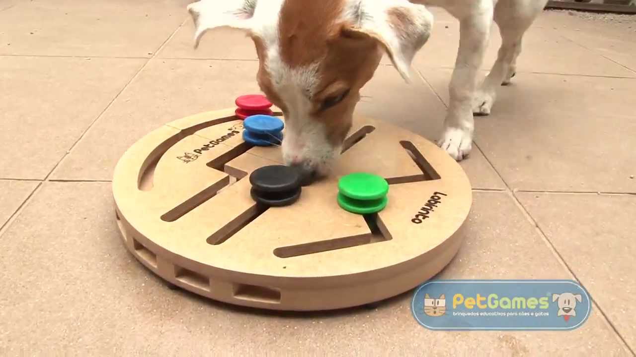 PETGAMES  LABIRINTO 