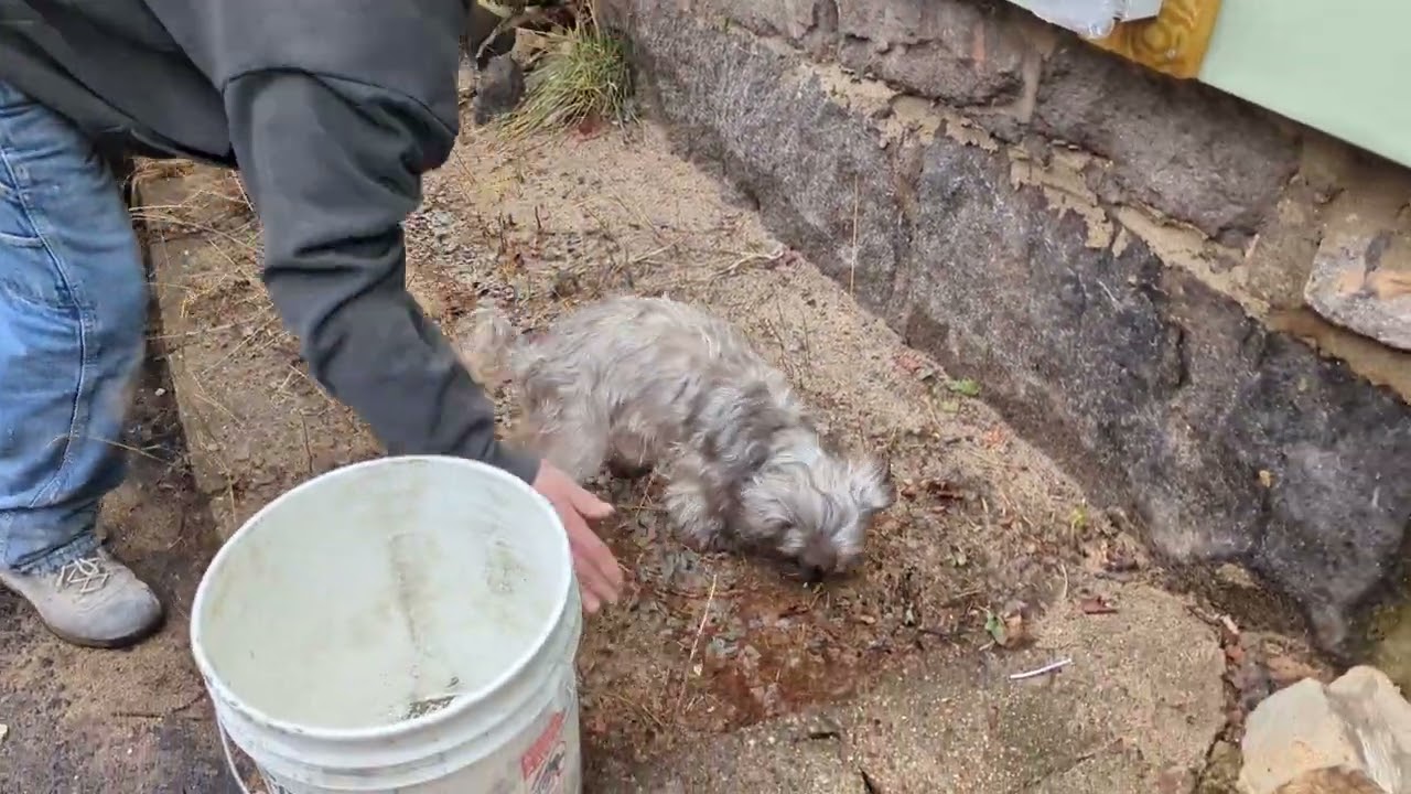 320 Manchester basement. old window foundation masonry water leak. Dale. expert masonry. 2023-01