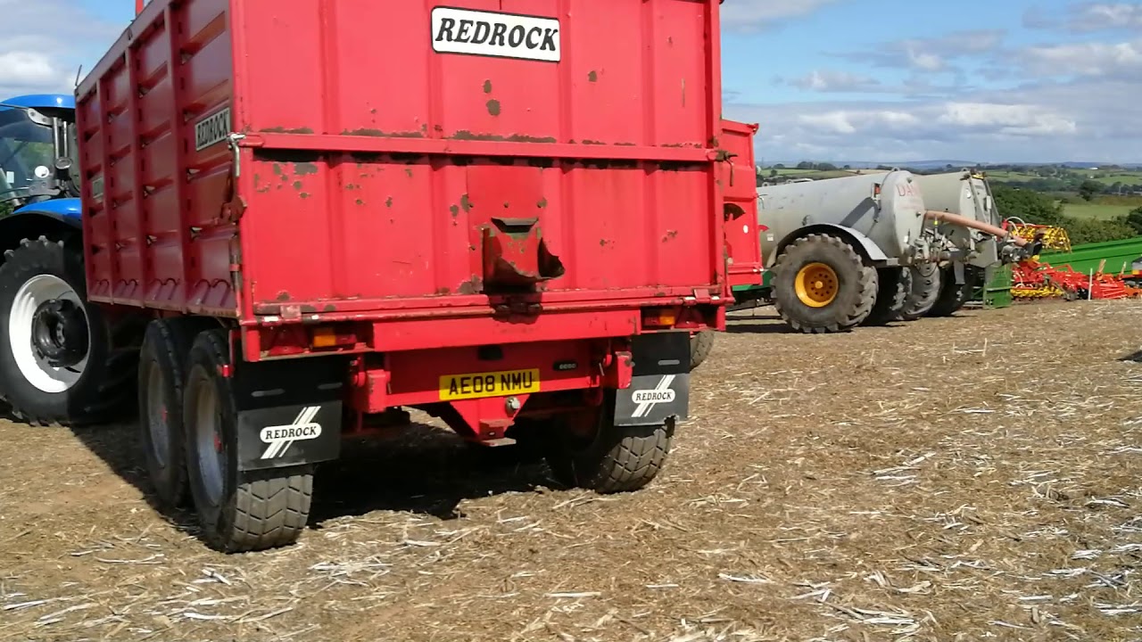 Kivells Barapill farm sale 15.09.18 YouTube