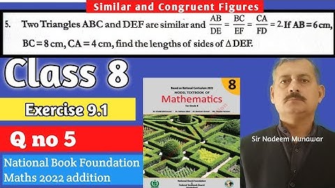 Class 8 Exercise 9.1 Q no 5 Ex 9.1 NBF Maths How Find unknown values in  Similar figures Sir Nadeem