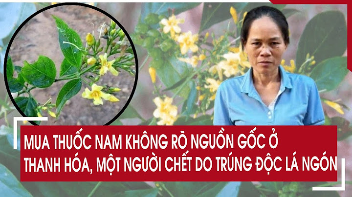Mua thuốc nam không rõ nguồn gốc ở Thanh Hoá, một người chết do trúng độc lá ngón