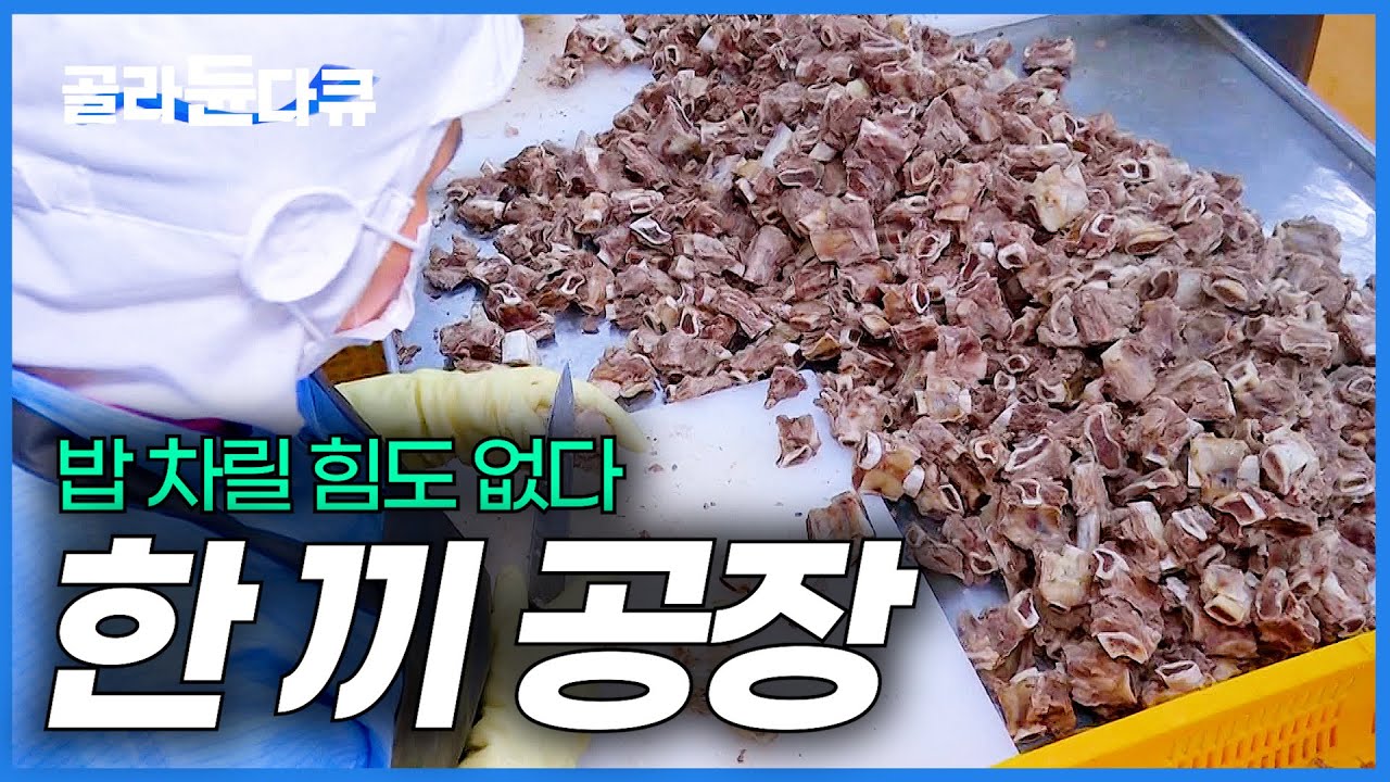 혼자 입맛도 없고 밥은 먹어야 하고. 자취생을 위한 한 끼를 만드는 공장에 가봤더니｜간편식 만드는 과정｜극한직업｜#골라듄다큐