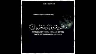 وَإِنَّكَ لَعَلَىٰ خُلُقٍ عَظِيمٖ | إسلام صبحي | حالات واتس اب دينية