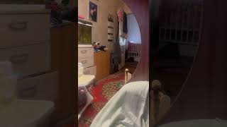 Powerful Earthquake Shakes Room, Rattles Aquarium