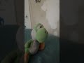 Yoshi Core 