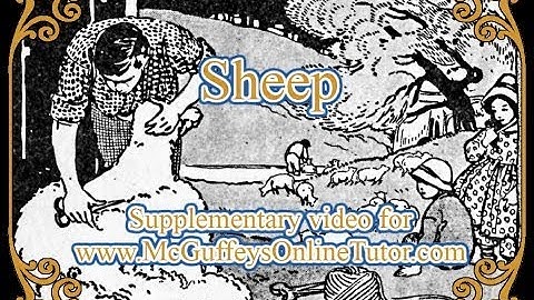 c  2-24 Video supplement for Lesson XXIV: Sheep.- McGuffey