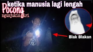 Download Lagu Hantu pocong menampakan dirinya saat berburu hewan MP3