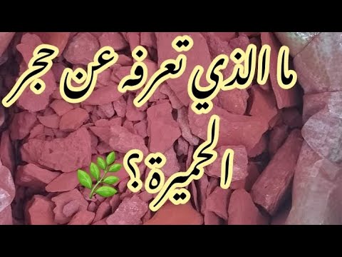 حجر الحميرة و فوائده العلاجية و التجميلية 