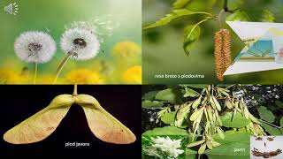 Život Biljke - 2. Dio