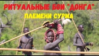 Ritual battles of the "Dong" of the Surma tribe. Бои на палках Донга, Сурма.  [Дикие племена Африки]