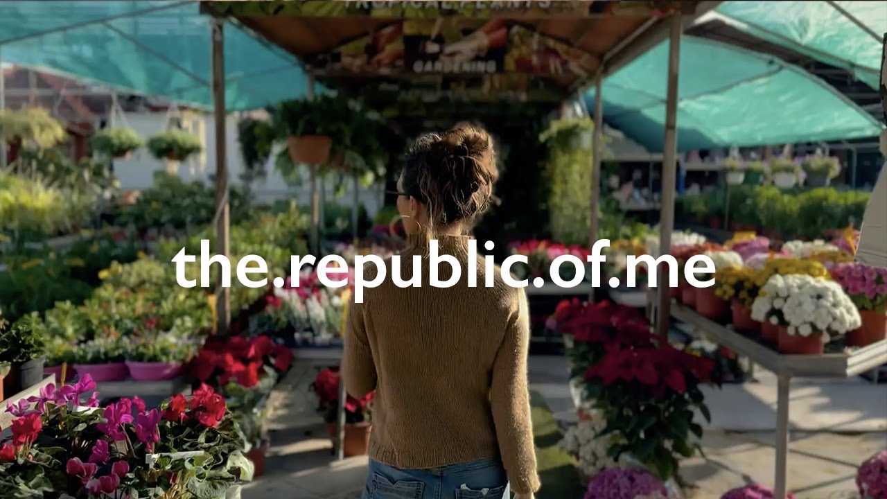 November weekend in Cyprus / vlog / knitting mohair socks + harvesting papaya + garden center visit