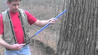 Tree Coring Part 1