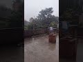 barish ❤️❤️#barish #barishstatus #rainyseason #rainy