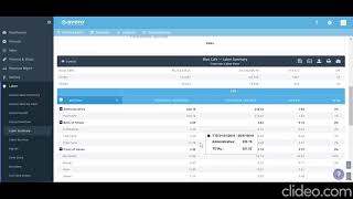 Updated Labor Summary Video