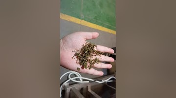 Tea Electrostatic Dust Removal Clearner Machine DL-6JDG-99-4B