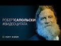 Агрессивный Роберт Сапольски