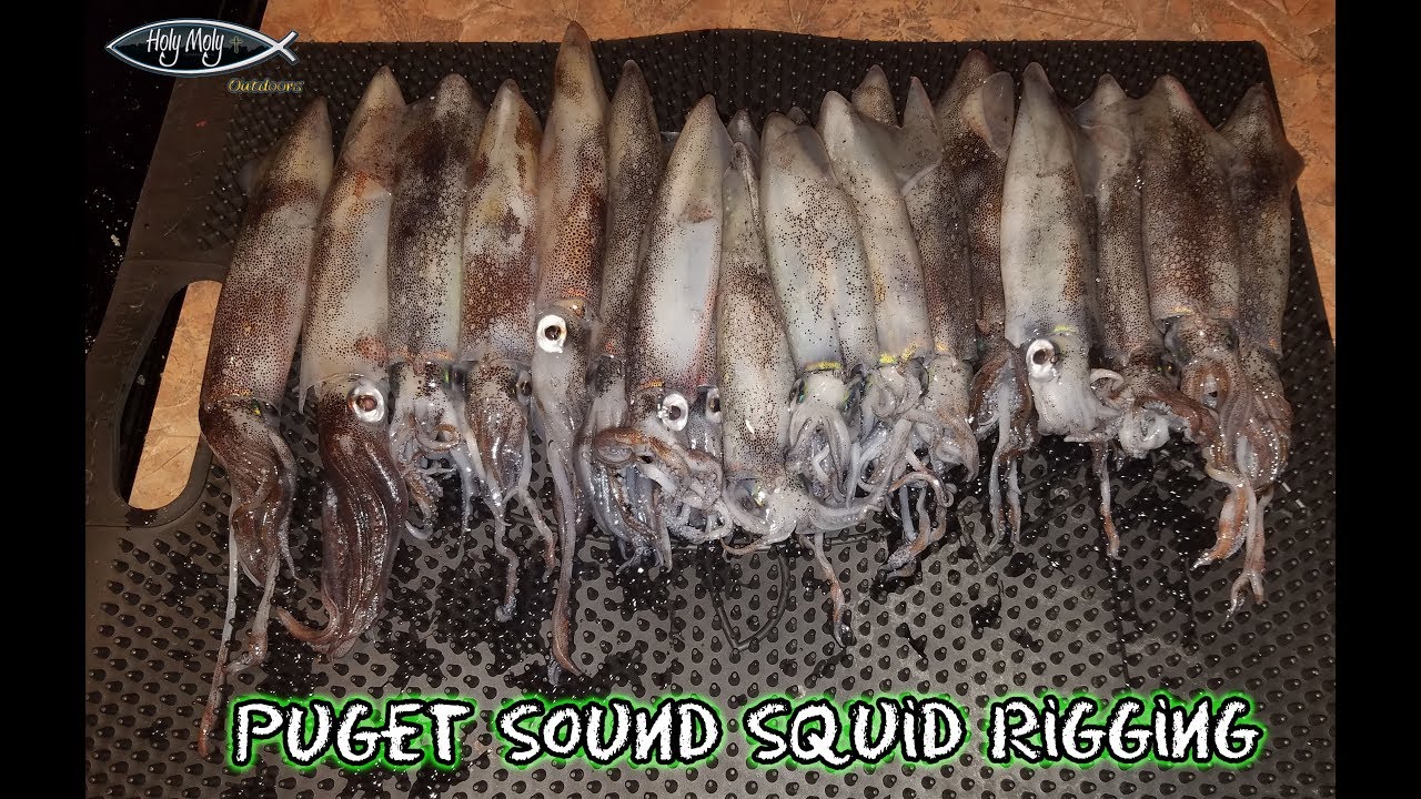 "How To" Puget Sound Squid Rigging YouTube