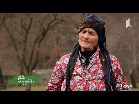 #ფერმა ადგილის დედა - სანათა მაჩურიშვილი ქალილოდან და მისი პასტორალური ცხოვრება ფშავში