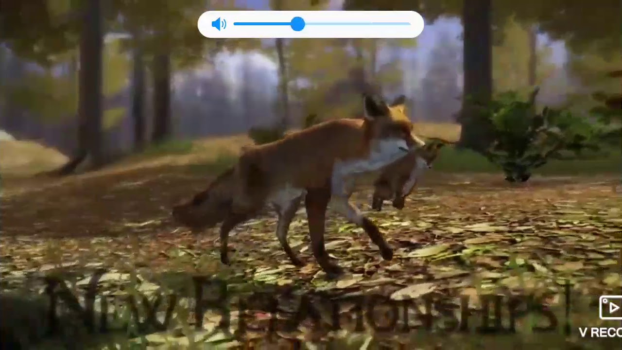 ultimate fox simulator how to find foxes