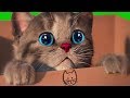 Fun Pet Kitten Care Kids Games - Little Kitten My Favorite Cat - Fun Kids Learning Games