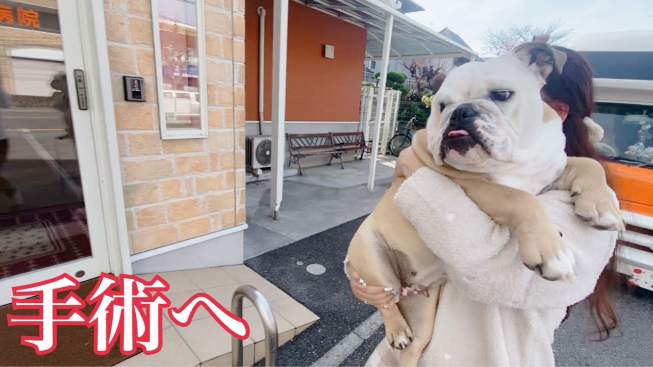 どうか無事に帰ってきて…【手術当日のリアルな1日の記録】