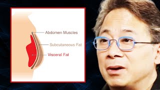 The EASIEST Way to Determine if You Have Too Much Visceral Fat (Check From Home) | Dr. William Li