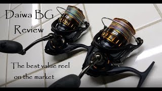 Daiwa BG reel Review 