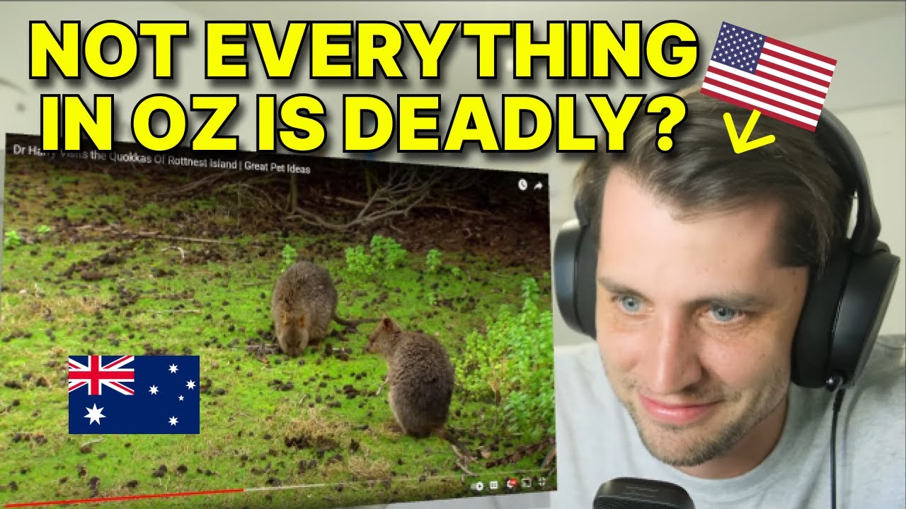 American reacts to Austalia's LEAST DANGEROUS Animal YouTube