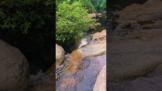 ចង់ហែលទឹកលេង #travel #waterfall #camping #nature #beautiful#viralvideo#shorts#youtubeshorts#cambodia