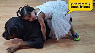 aaru and Jerry's funny fight | funny dog videos | Rottweiler puppy | @snappygirls02