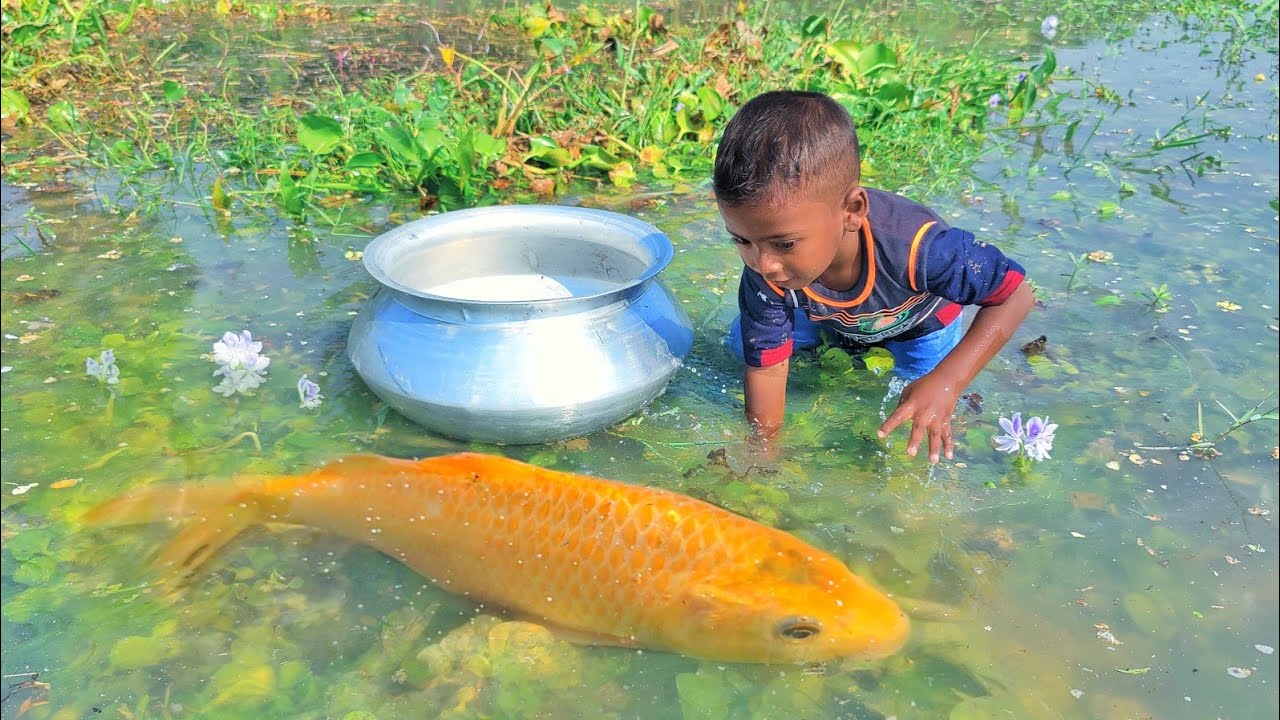 Amazing Boy Catching Fish By Hand