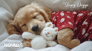 12 Hours Soothing Music for Cats 🐱 Music to Help Your Cat Sleep 🎶 Cat TV 🐈 Sleepy Cat