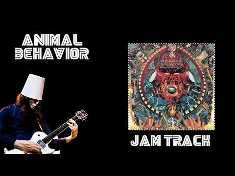 #Buckethead &quot;Animal Behavior&quot; (Jam Track)