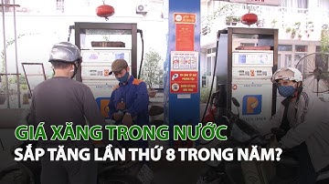 Giá Xăng trong nước sắp tăng lần thứ 8 trong năm?| VTC14