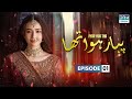 Piyar Hua Tha - Episode 1 | Sana Javed, Mikaal Zulfiqar | Best Pakistani Dramas #sanajaved