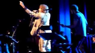 O Dana - Tim Rogers - Big Star&#39;s Third - Sydney 23-01-2014 live