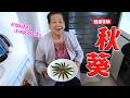 夏天狂水腫?這根黏黏的秋葵,竟是消腫穩糖神隊友！安媽4道超實用料理一次學 Ft.阿環小姐【送你營養吃】
