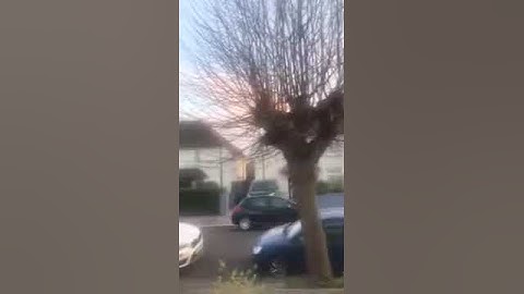 Intel Animations Version 9 Is Coming Now