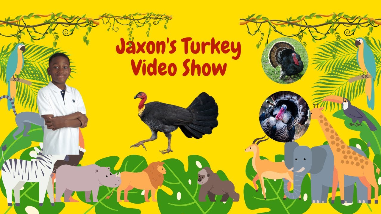 Turkey Animal Pictures Videos Jaxon's things Adventures Turkey Video Show. Let's Watch