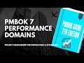 What are the Performance Domains in the  PMBOK Guide 7ed?