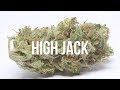 High Jack Strain Review